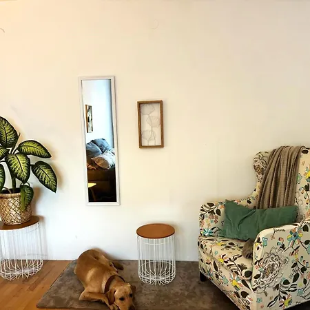 Revliving Kaiser Franz Septima Altstadt