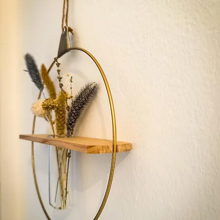 Revliving Kaiser Franz Septima Altstadt Baden