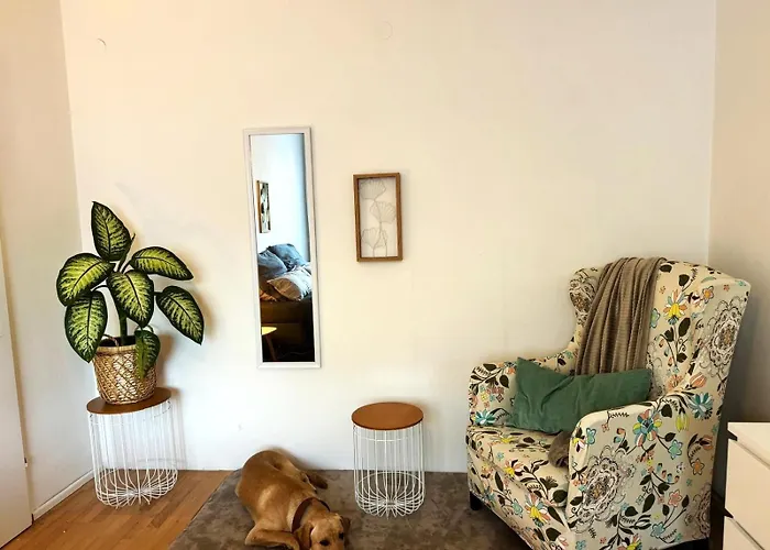 Revliving Kaiser Franz Septima Altstadt