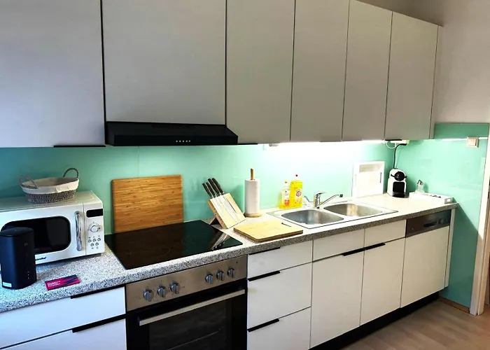 Apartamento Revliving Kaiser Franz Septima Altstadt Baden