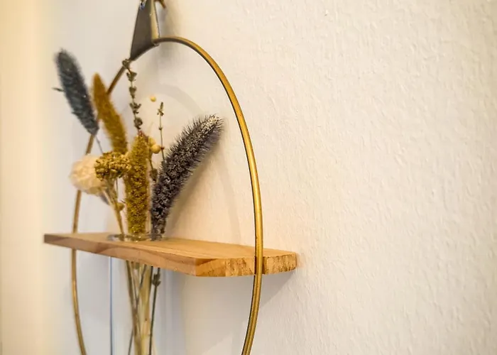 Revliving Kaiser Franz Septima Altstadt Baden